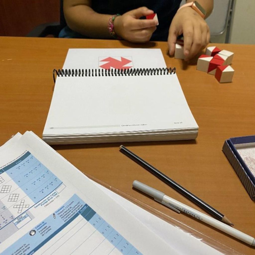 Imagen de evaluación cognitiva